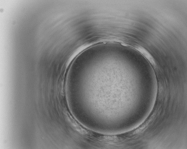 X0000088601052200706011158