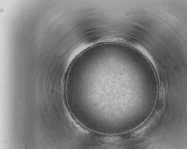 X0000088601053200706011158