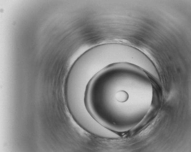 X0000088601054200706011158