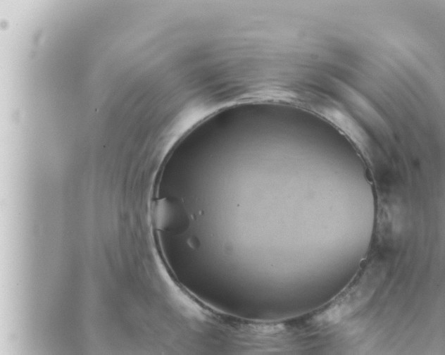 X0000088601055200706011158