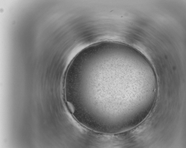 X0000088601056200706011158