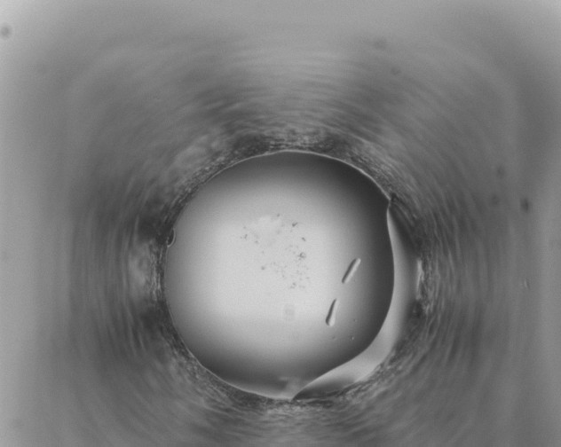 X0000088601058200706011157