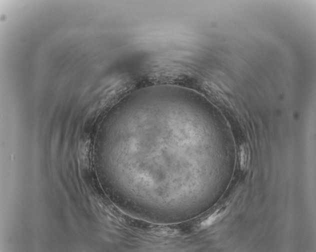 X0000088601059200706011157