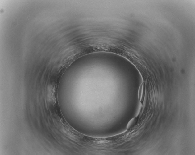 X0000088601060200706011157