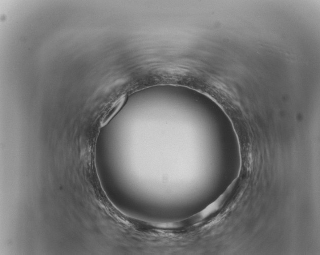 X0000088601061200706011157