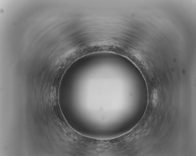 X0000088601062200706011157