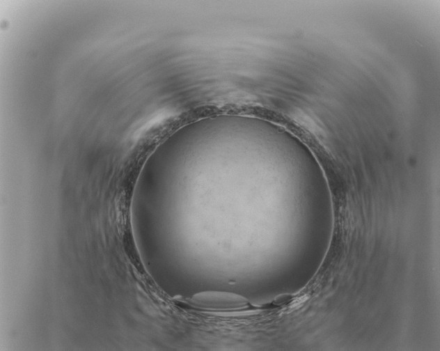 X0000088601063200706011157