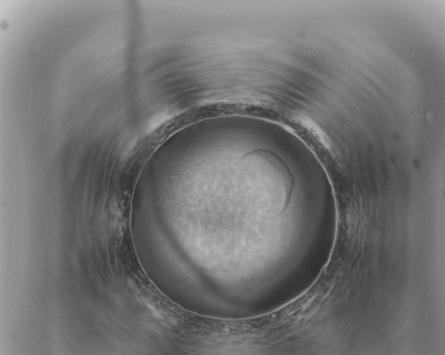 X0000088601064200706011157