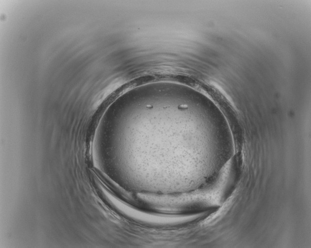 X0000088601065200706011157