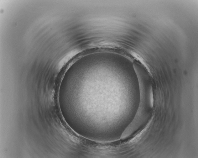 X0000088601066200706011157