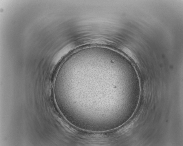 X0000088601067200706011157