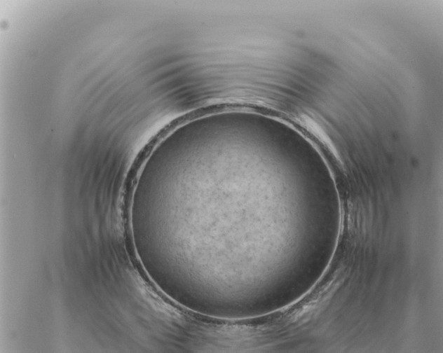 X0000088601068200706011157