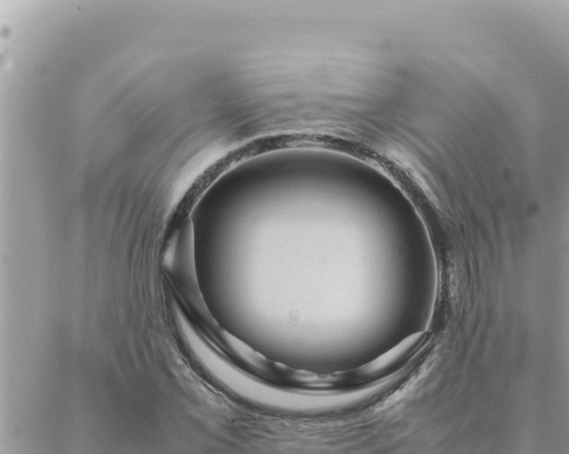 X0000088601069200706011157