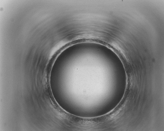 X0000088601070200706011157