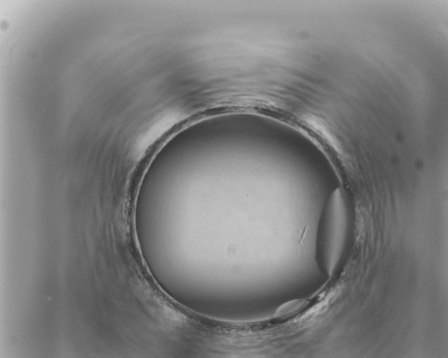 X0000088601071200706011157