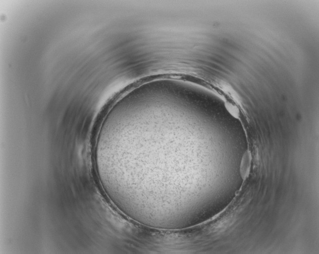 X0000088601072200706011157