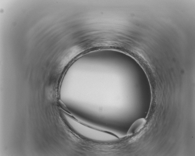 X0000088601073200706011157