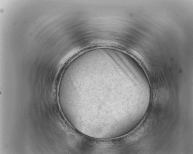 X0000088601074200706011157