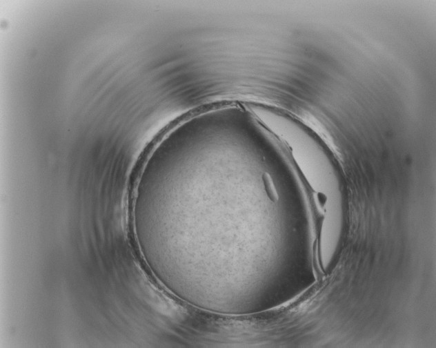 X0000088601076200706011157