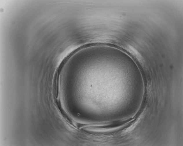 X0000088601077200706011157