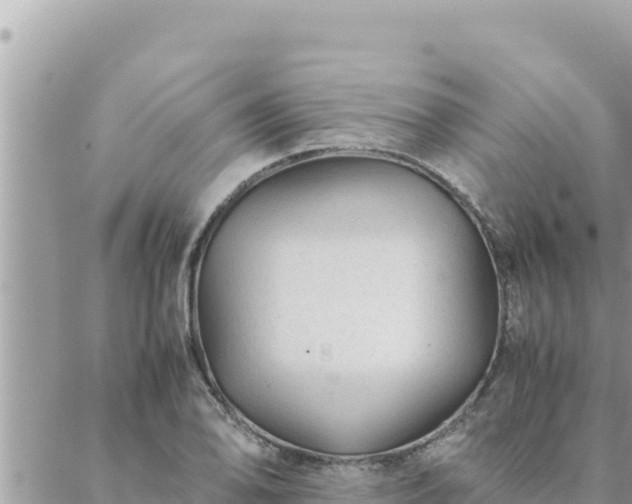 X0000088601078200706011157