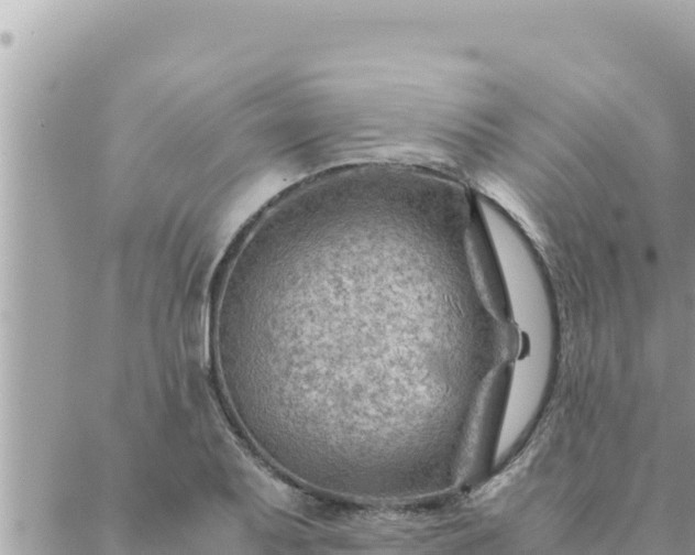 X0000088601079200706011157