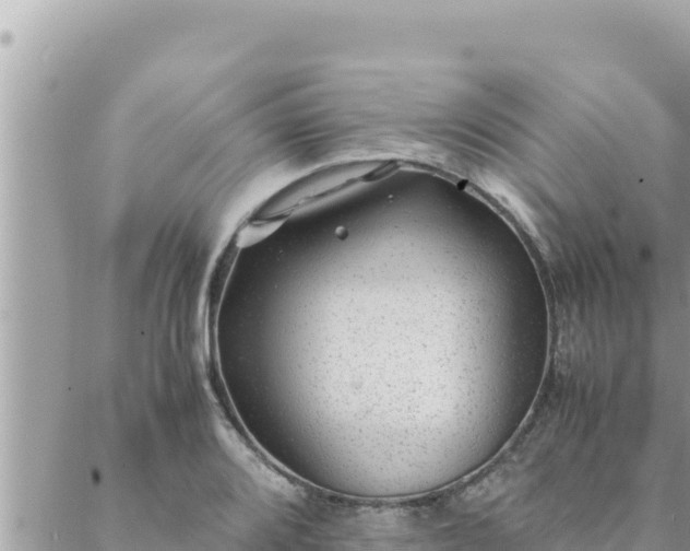 X0000088601080200706011157