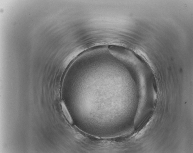 X0000088601081200706011157