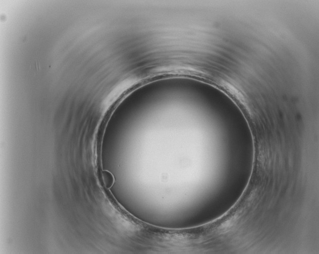 X0000088601082200706011157