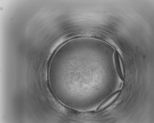 X0000088601083200706011157