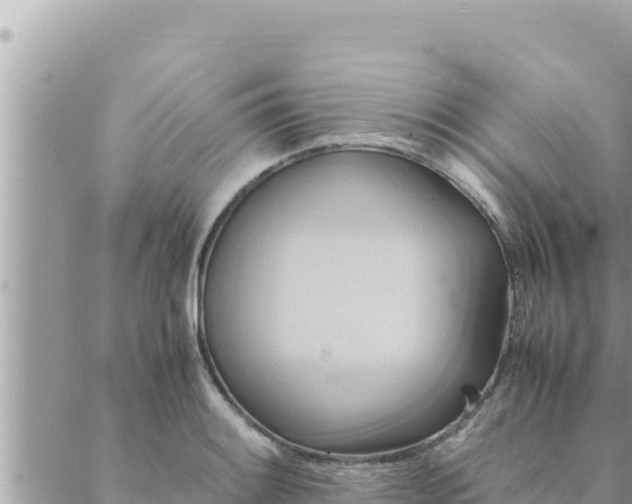 X0000088601084200706011157