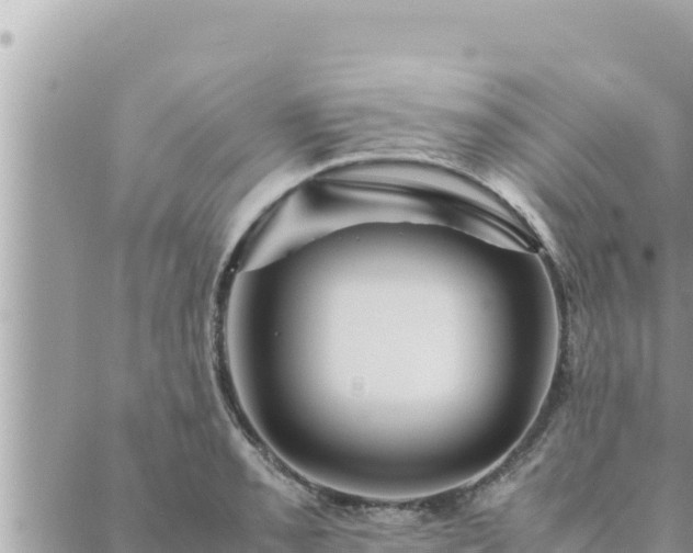 X0000088601085200706011156