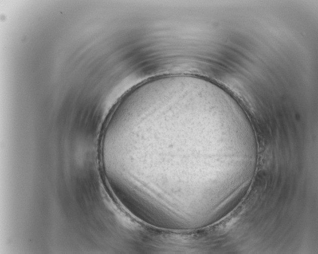 X0000088601086200706011156