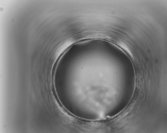 X0000088601087200706011156