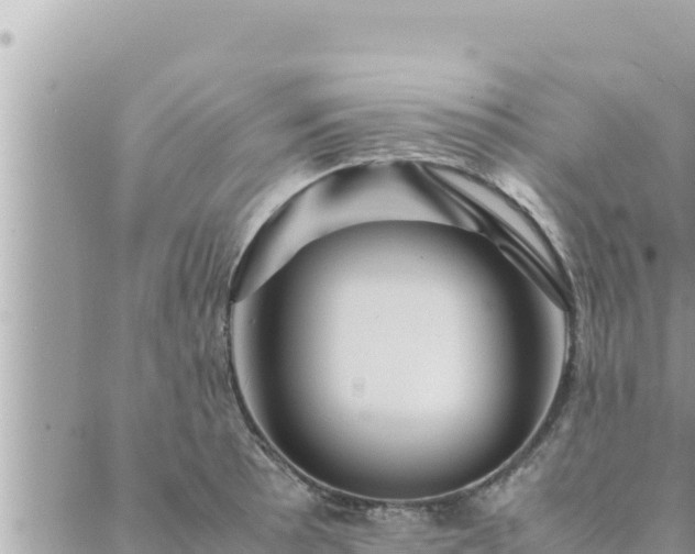 X0000088601089200706011156