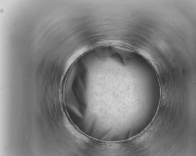 X0000088601090200706011156