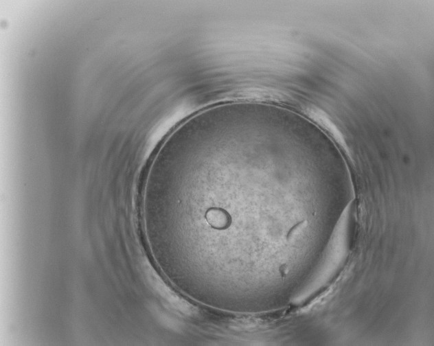 X0000088601091200706011156