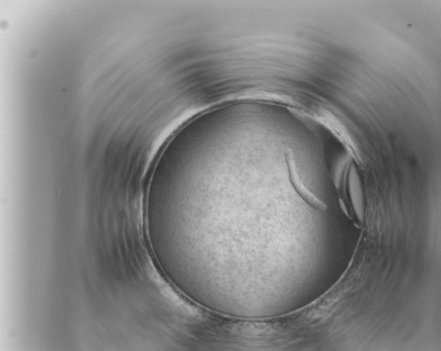 X0000088601092200706011156