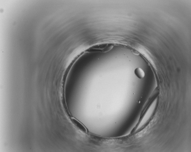 X0000088601093200706011156