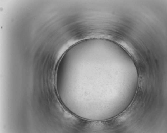 X0000088601094200706011156