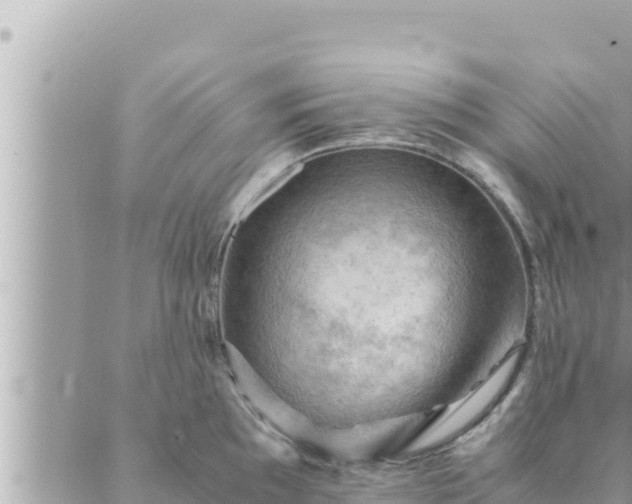 X0000088601097200706011156