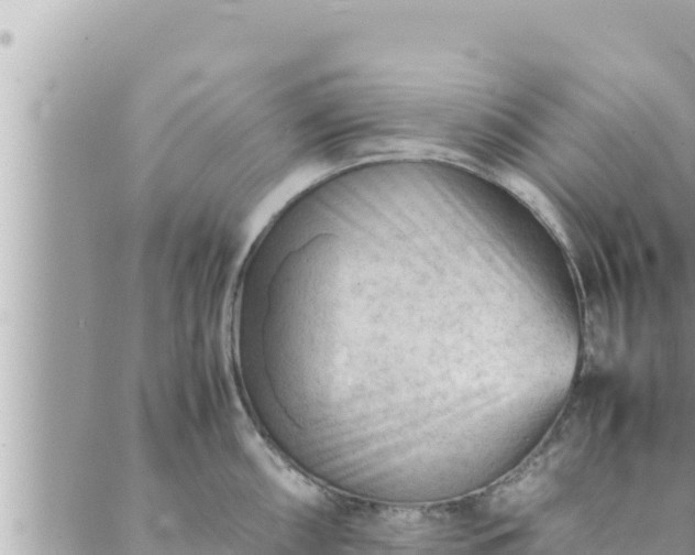 X0000088601098200706011156