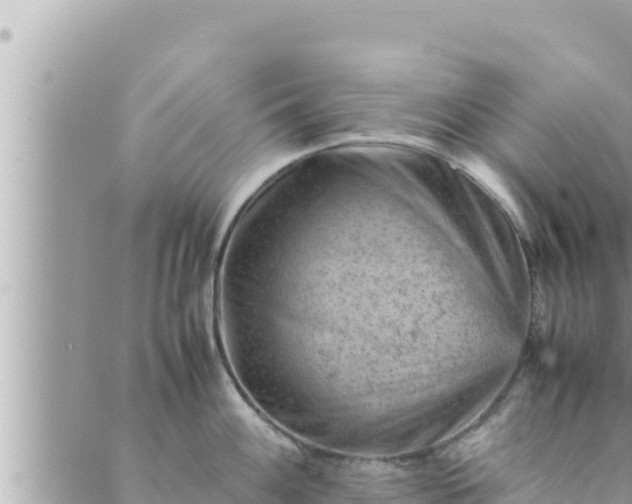 X0000088601100200706011156