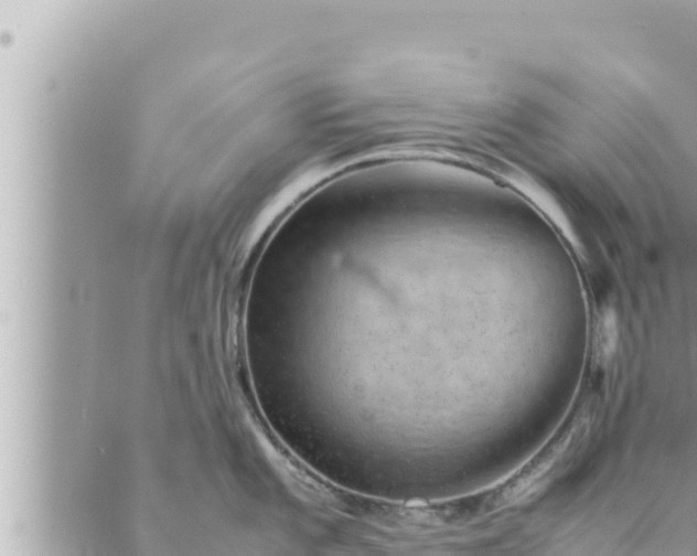 X0000088601101200706011156