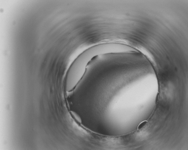 X0000088601102200706011156