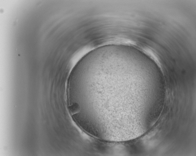 X0000088601103200706011156