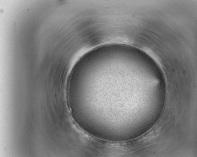 X0000088601104200706011156