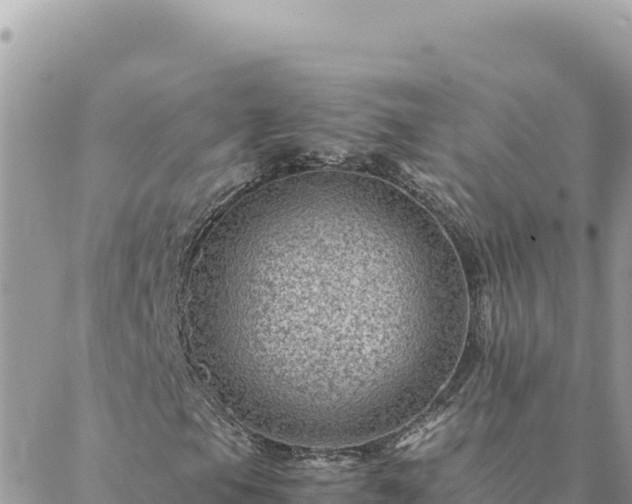 X0000088601105200706011155