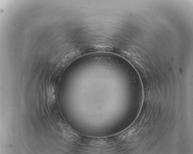 X0000088601106200706011155