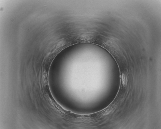 X0000088601107200706011155